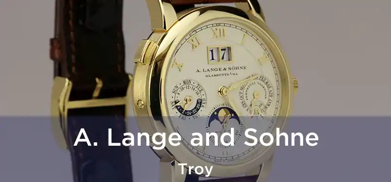 A. Lange and Sohne Troy