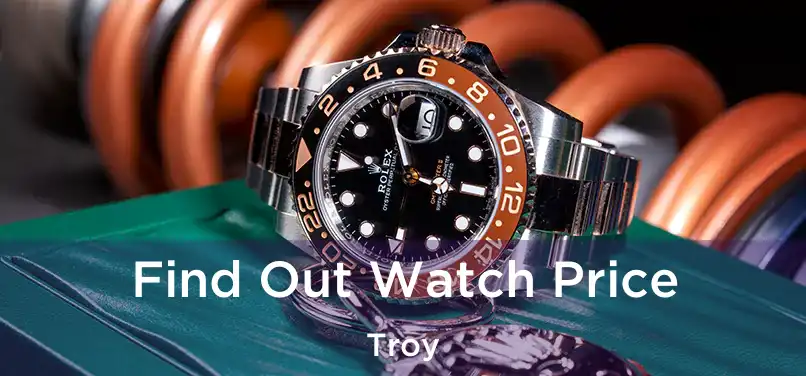 Find Out Watch Price Troy