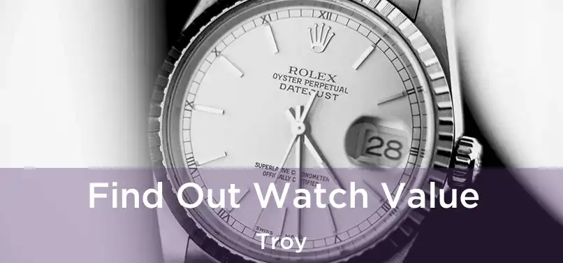 Find Out Watch Value Troy