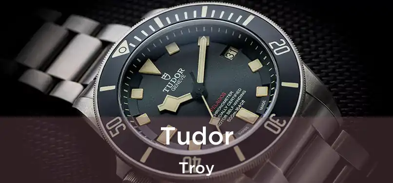 Tudor Troy