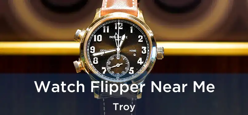 Watch Flipper Near Me Troy